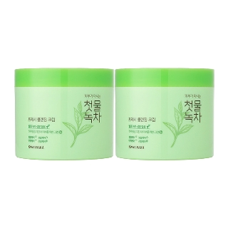 과일나라 첫물녹차 프레시 클렌징 크림, 300g, 2개